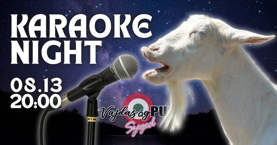🎤 🎶 Karaoke Night ✨ VajdaságPUB